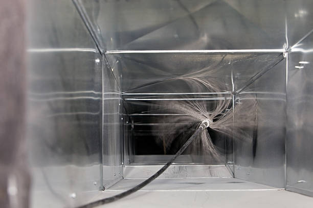 Best Air Duct Mold Removal  in Essex, IL