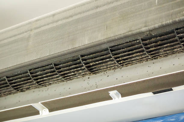 Best Air Vent Cleaning Services  in Essex, IL