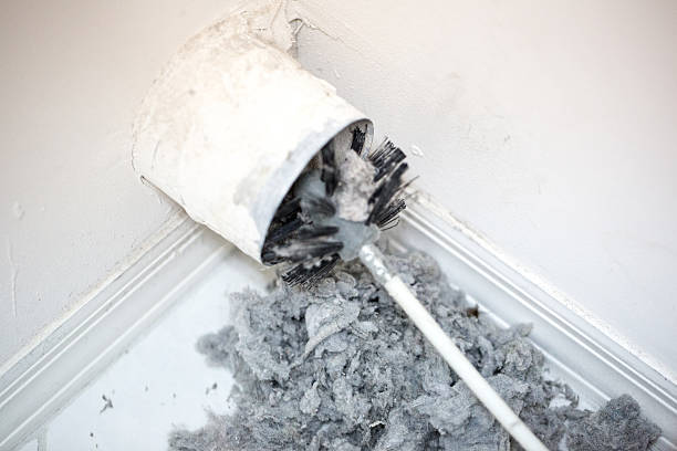 Best Local Air Duct Cleaning Services  in Essex, IL